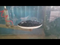 水処理Dia 90*1000mmのための1/6の膜ディスク通風器の良い泡ディスク拡散器